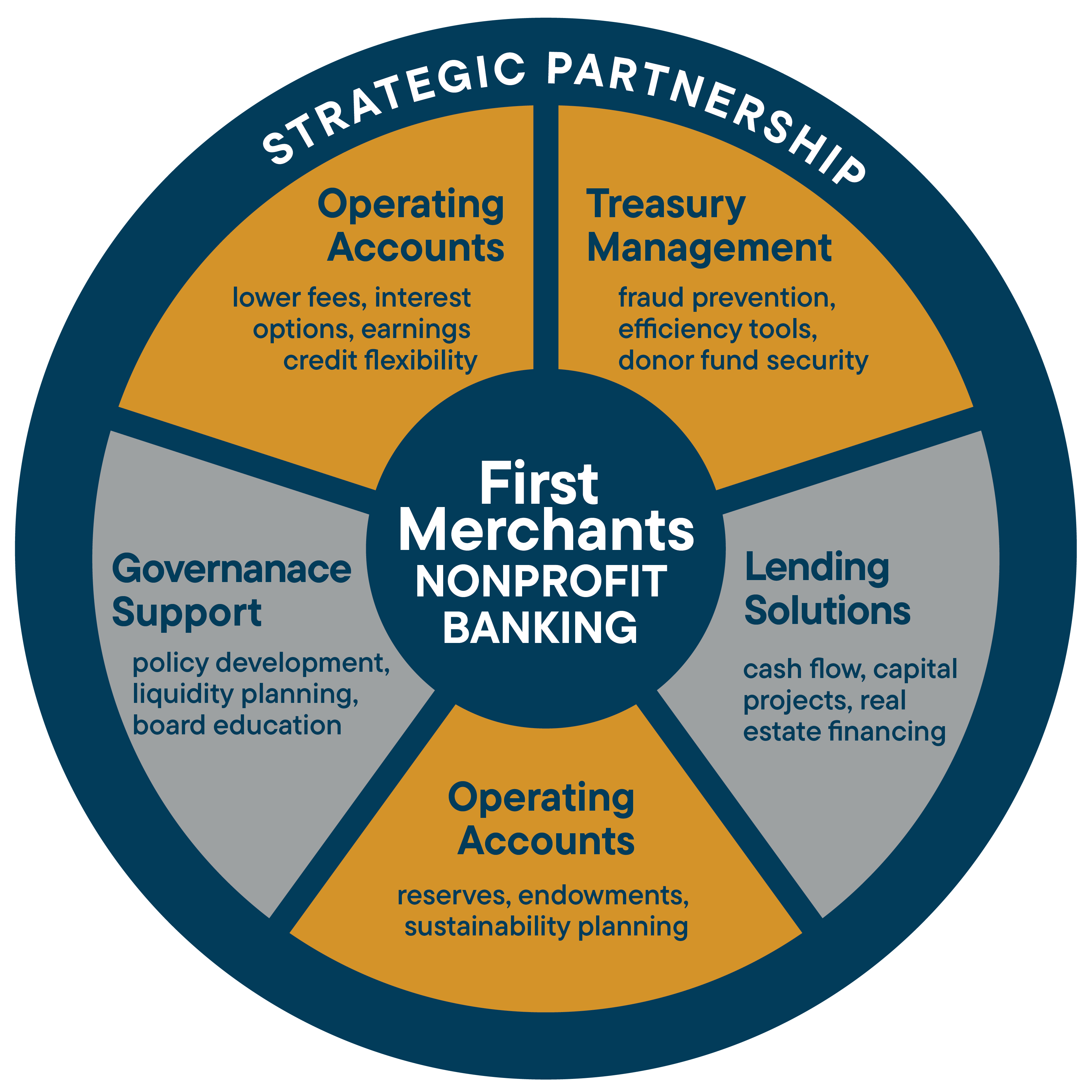 Comprehensive Nonprofit Solutions Graphic without Title