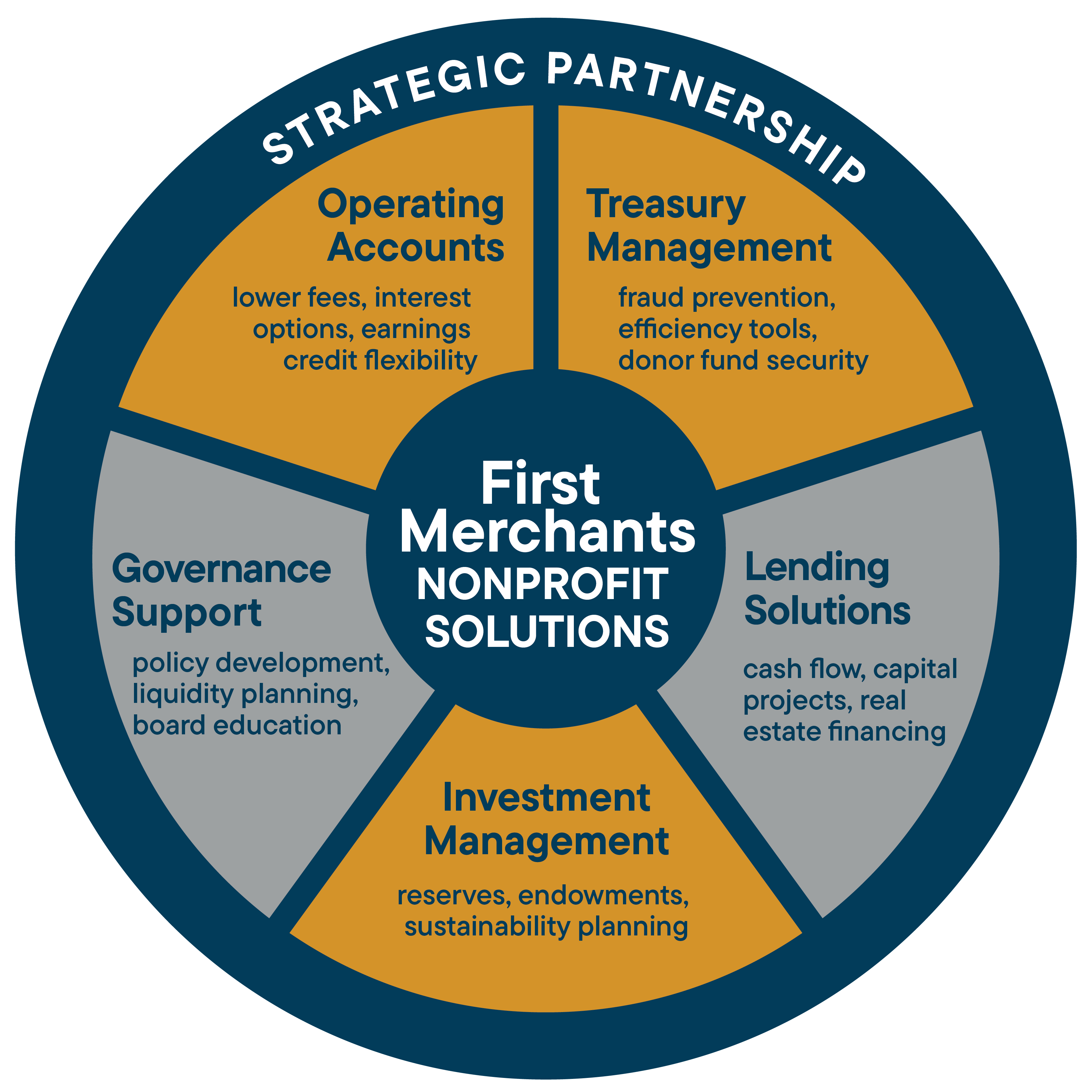 Comprehensive Nonprofit Solutions Graphic without Title